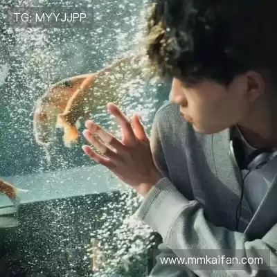 嵇广琛